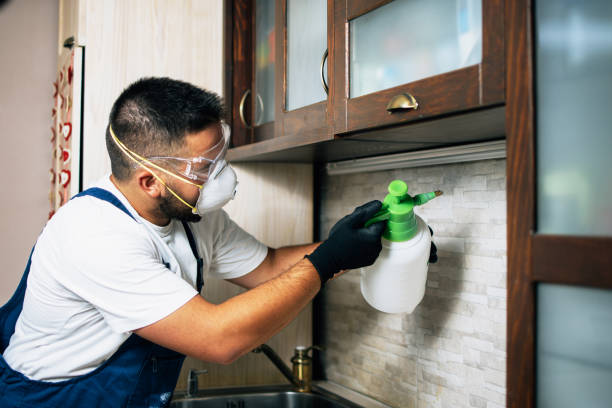 Best Bed Bug Extermination  in South Chicago Heights, IL