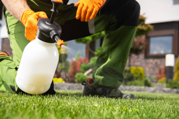 Best Rat Extermination Near Me  in South Chicago Heights, IL