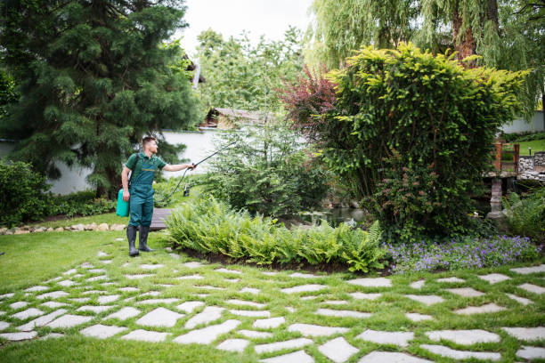 Best Exterminator Services  in South Chicago Heights, IL