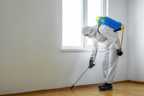 Best Bed Bug Extermination  in South Chicago Heights, IL