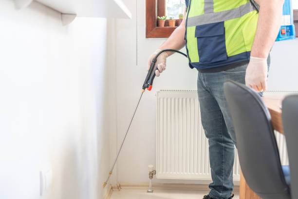 Best Affordable Pest Control Services  in South Chicago Heights, IL