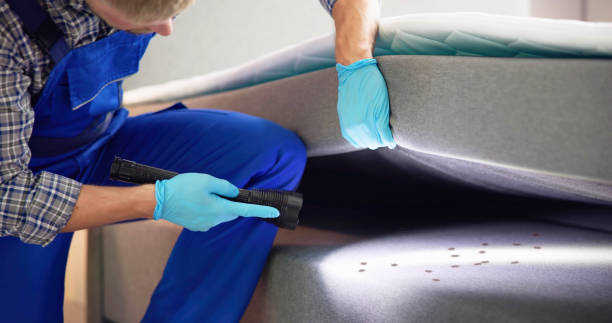 Best Best Pest Control Companies  in South Chicago Heights, IL