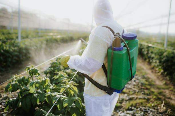  South Chicago Heights, IL Pest Control Pros